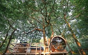 Chestnut Tree House With Hot Tub & Sauna