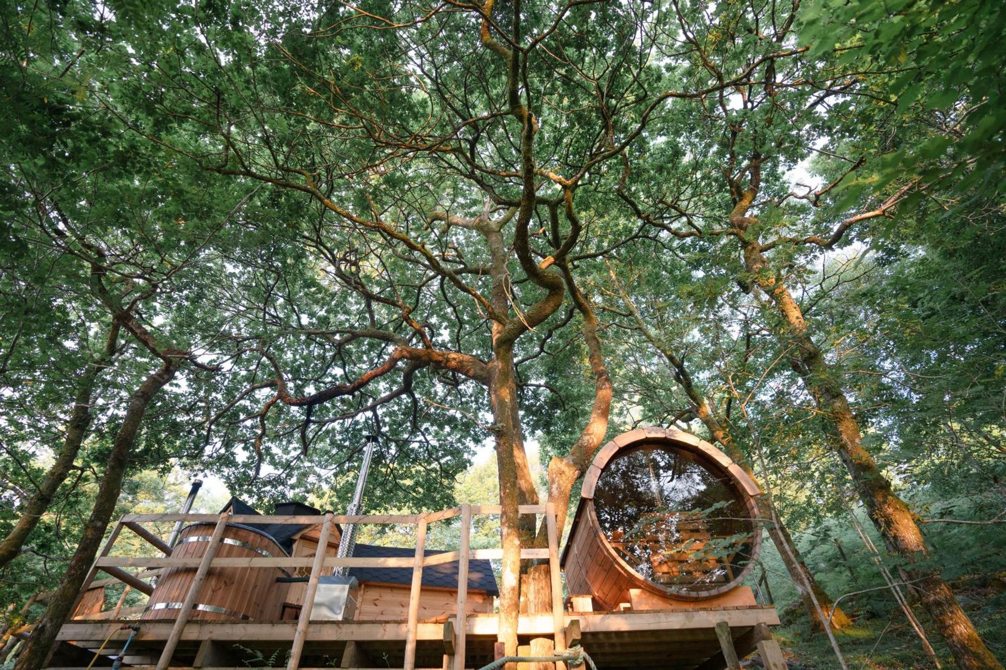 Chestnut Tree House With Hot Tub & Sauna Barmouth Ngoại thất bức ảnh