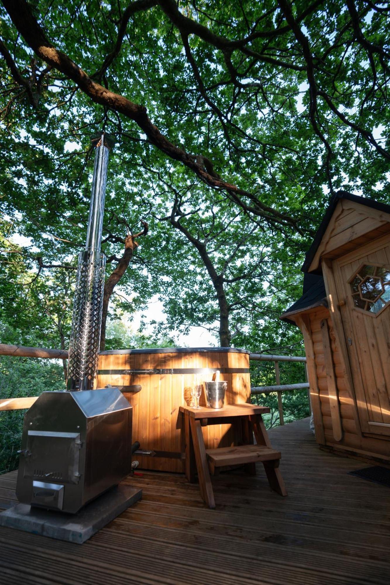 Chestnut Tree House With Hot Tub & Sauna Barmouth Ngoại thất bức ảnh